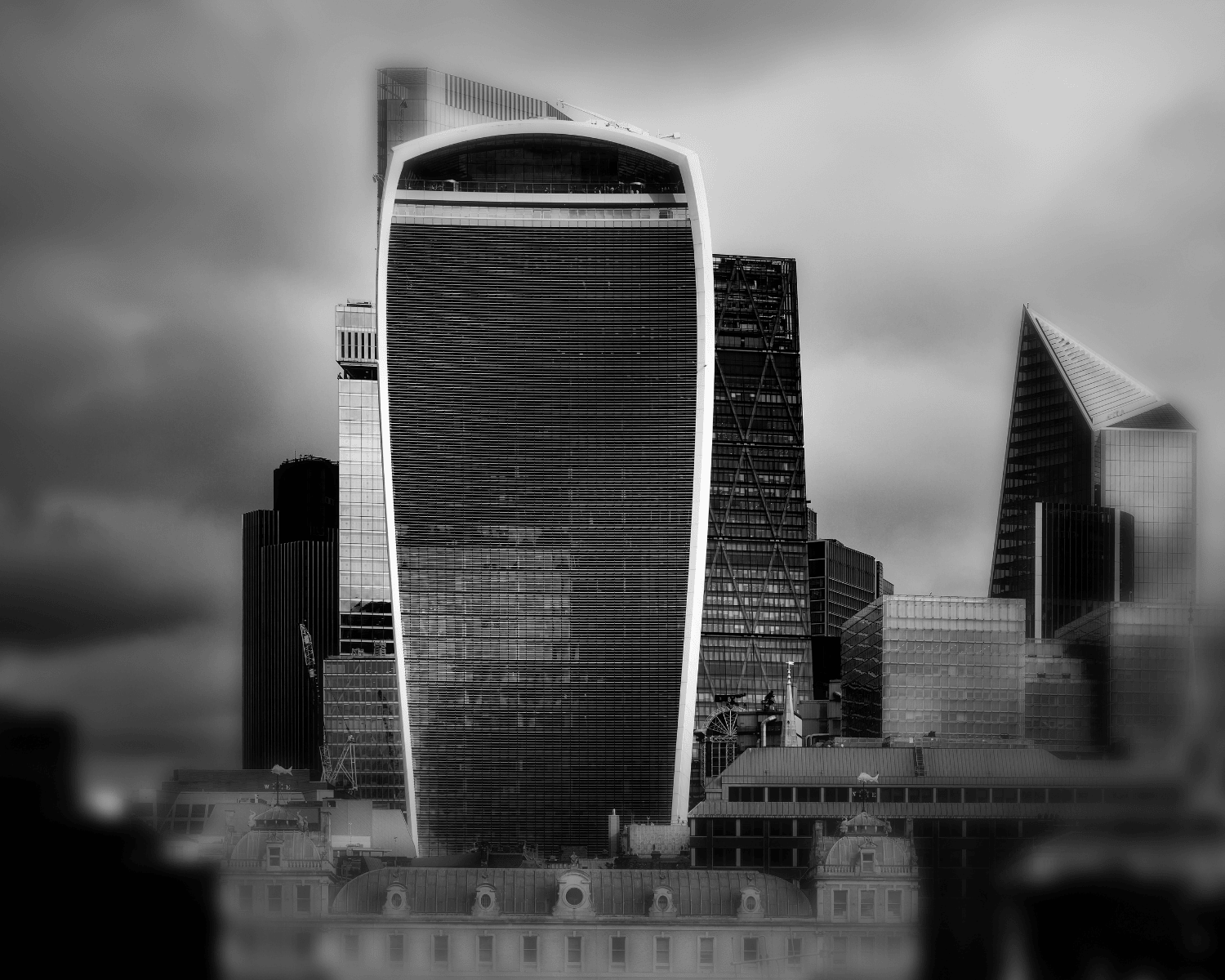 urban metamorphosis