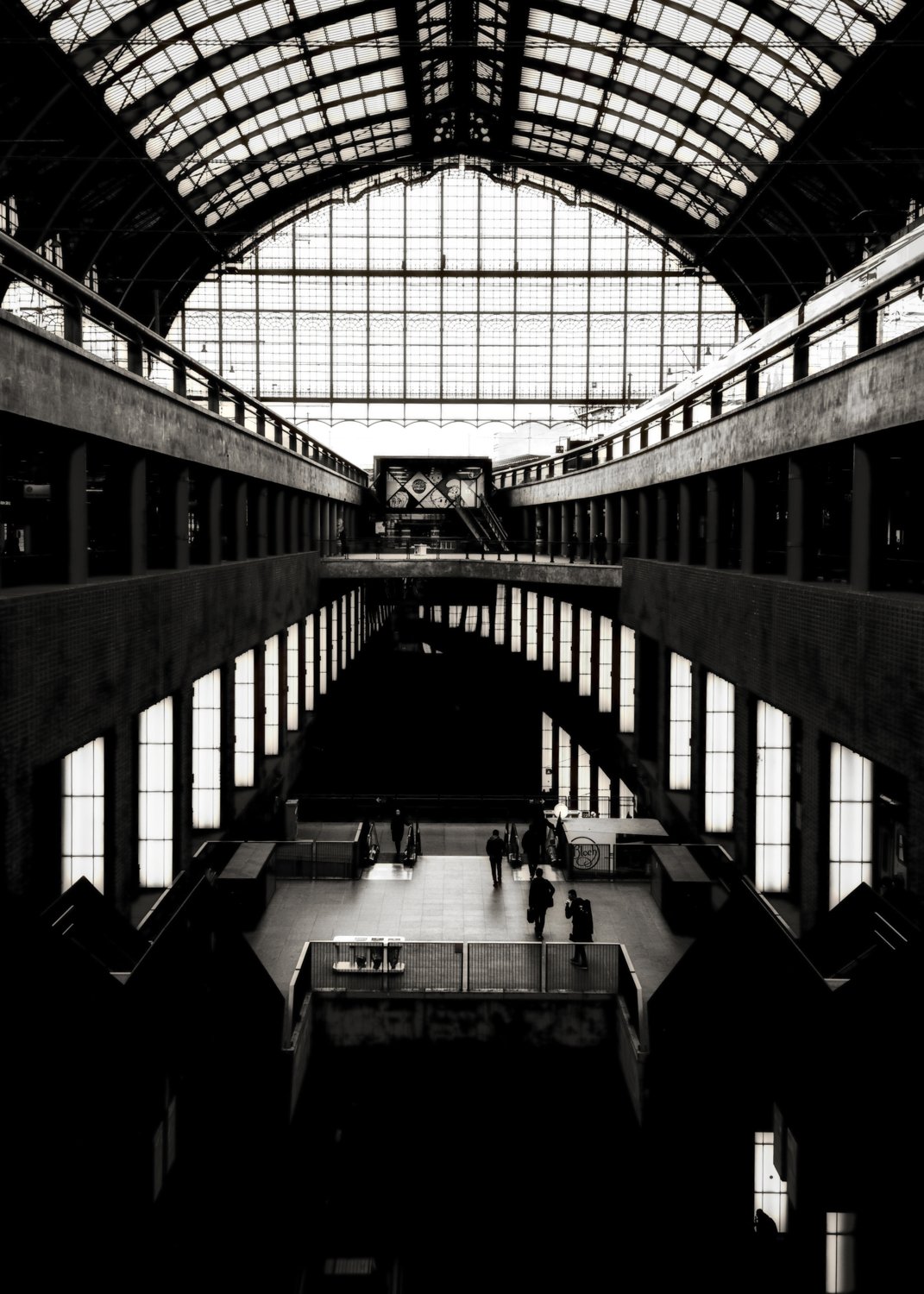 somewhere a sun is shining