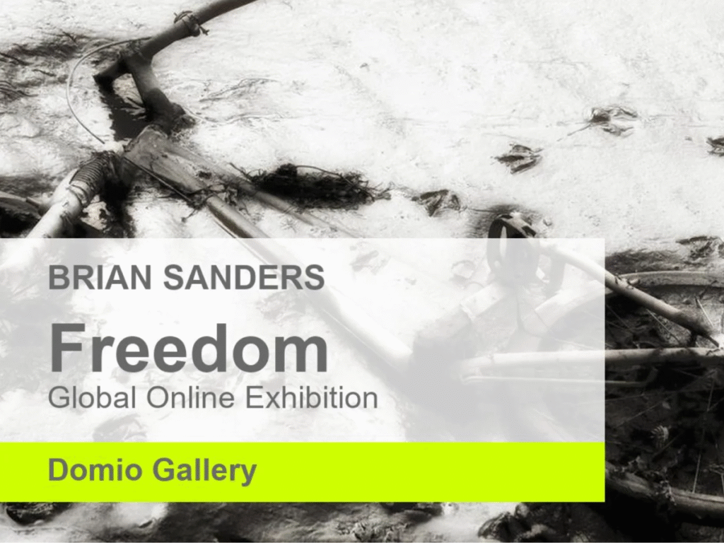 Freedom Domio Gallery Poster