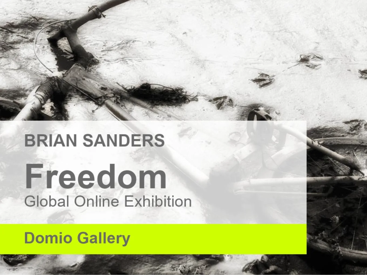 Freedom Domio Gallery Poster