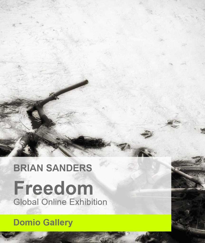 Brian Sanders Freedom Domio Gallert Exhibition
